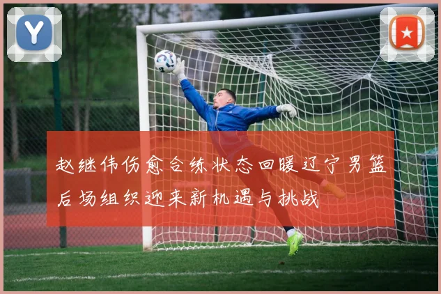 赵继伟伤愈合练状态回暖辽宁男篮后场组织迎来新机遇与挑战